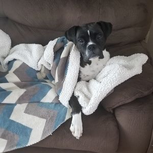 Meet your Posher, Ancella